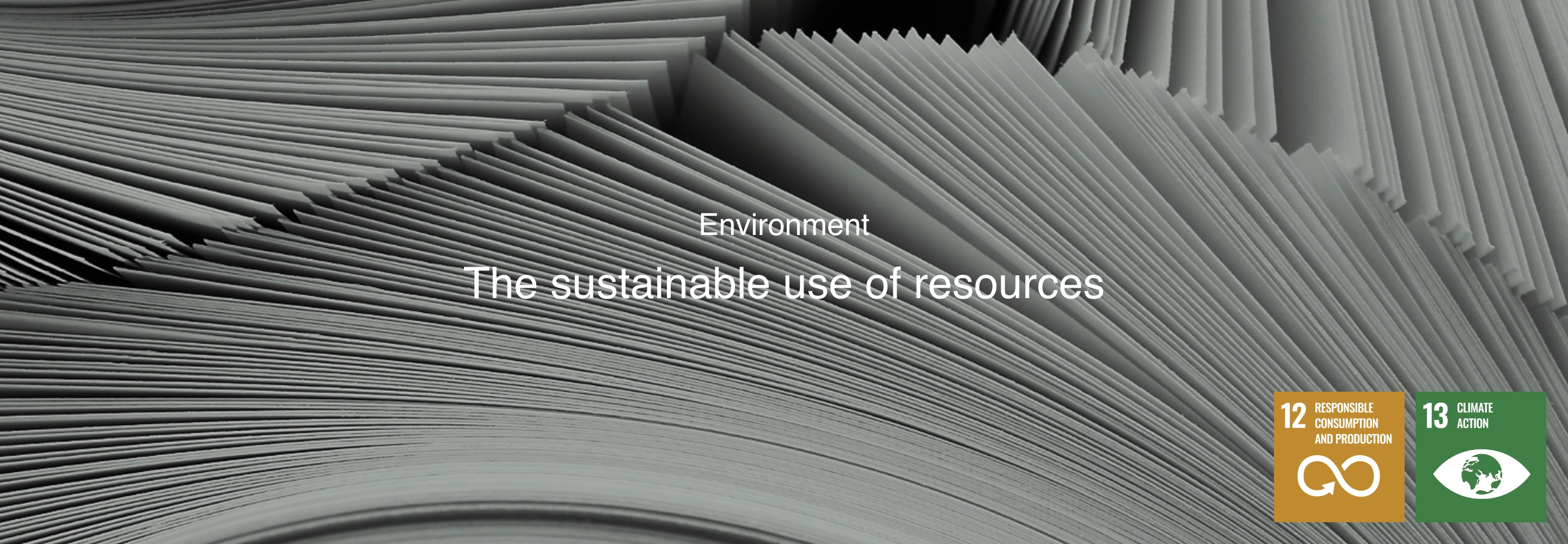 Medio Ambiente Uso sostenible de los recursos