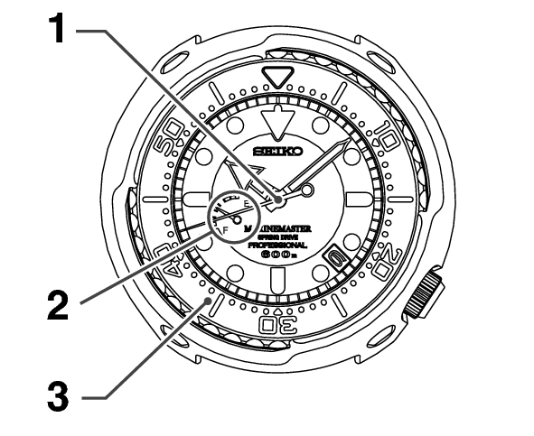 5R65D_Precautions for diving-1