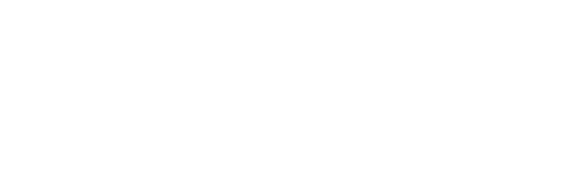 Seiko 5 Sports EVISEN SKATEBOARDS Limited Edition | Seiko Watch