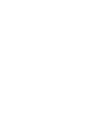 Seiko divers 55th logo