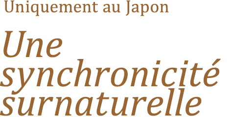 uniquement au Japon Une synchronicité surnaturelle