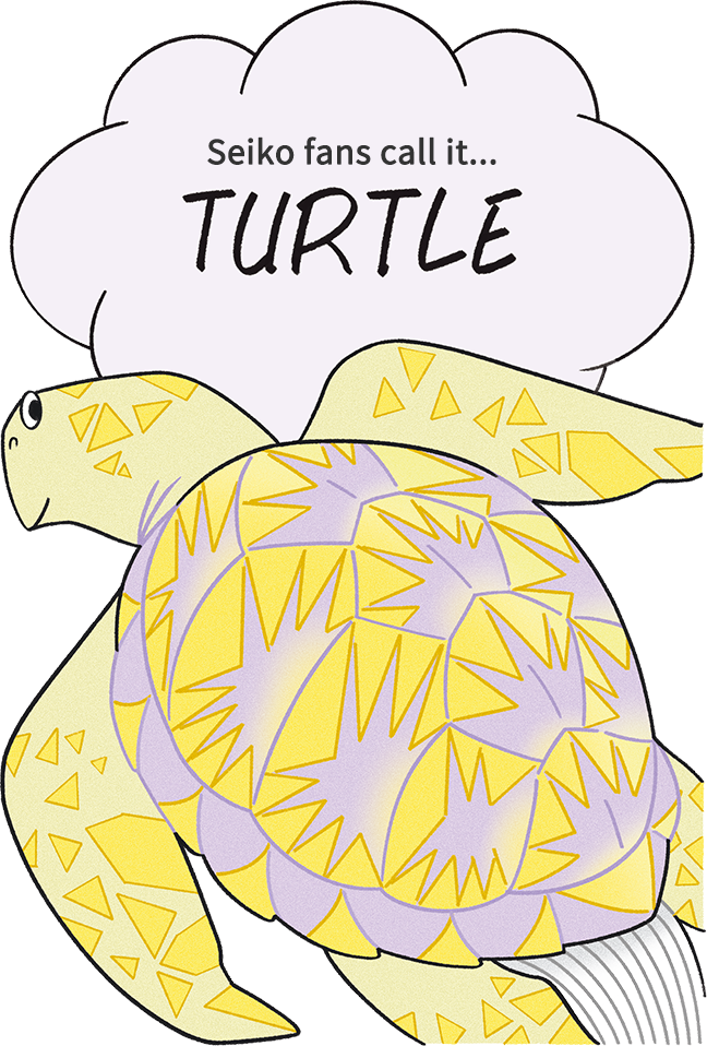 Turtle