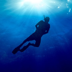 image of diver