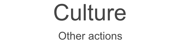 Culture Other actions