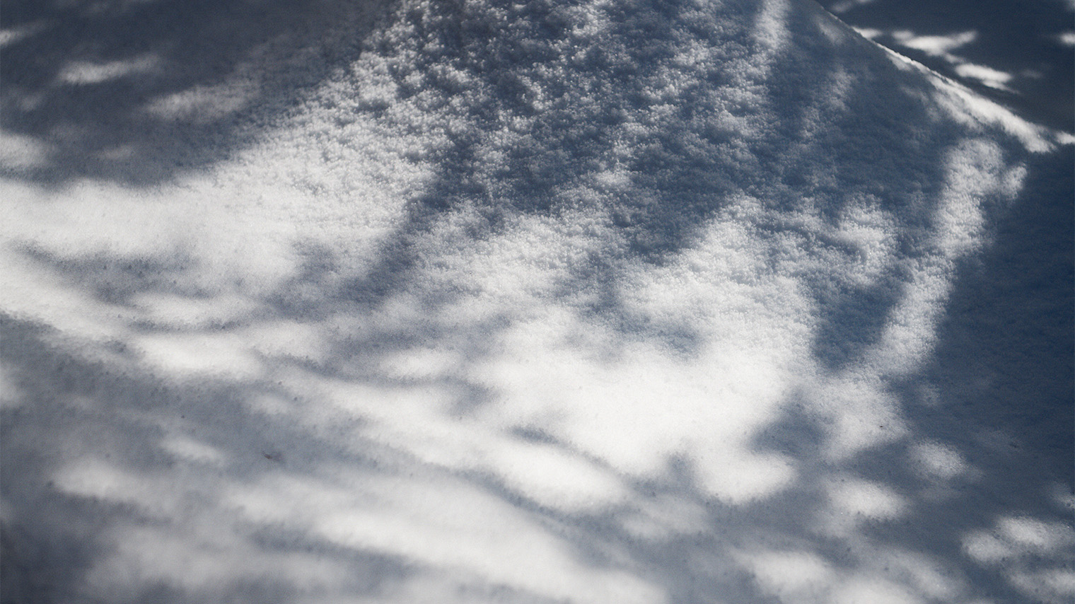 Photo Snow at Kanazawa 21st Century Museum