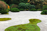 Imagen en miniatura de El jardín zen