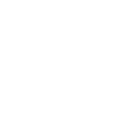 Logo de SEIKO 55 Aniversario del Reloj de Buceo