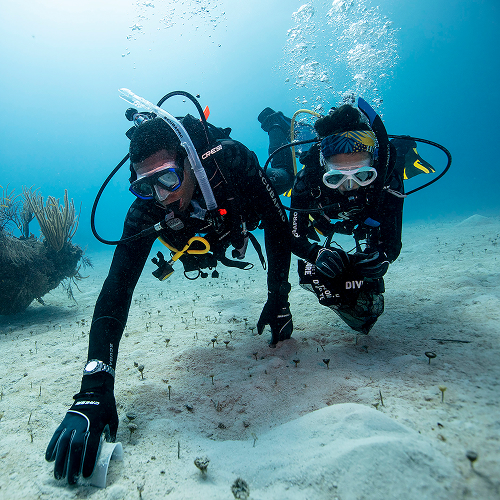 Divers participating in a Dive Against Debris® event