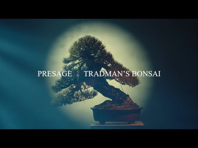 TRADMAN’S BONSAI