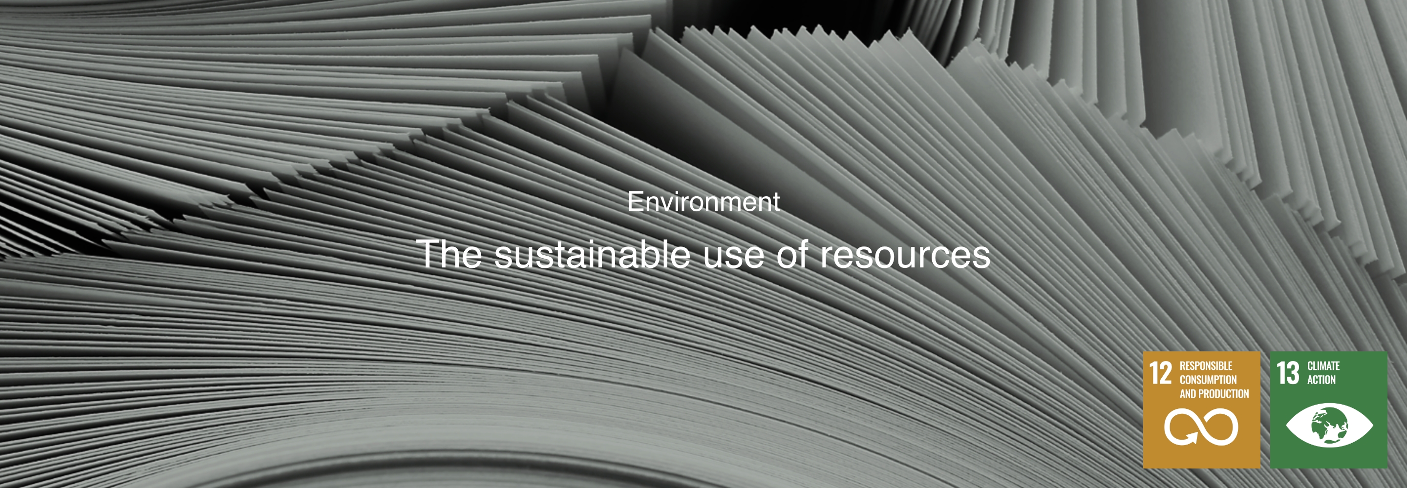 Environment The Sustainable Use of Resources