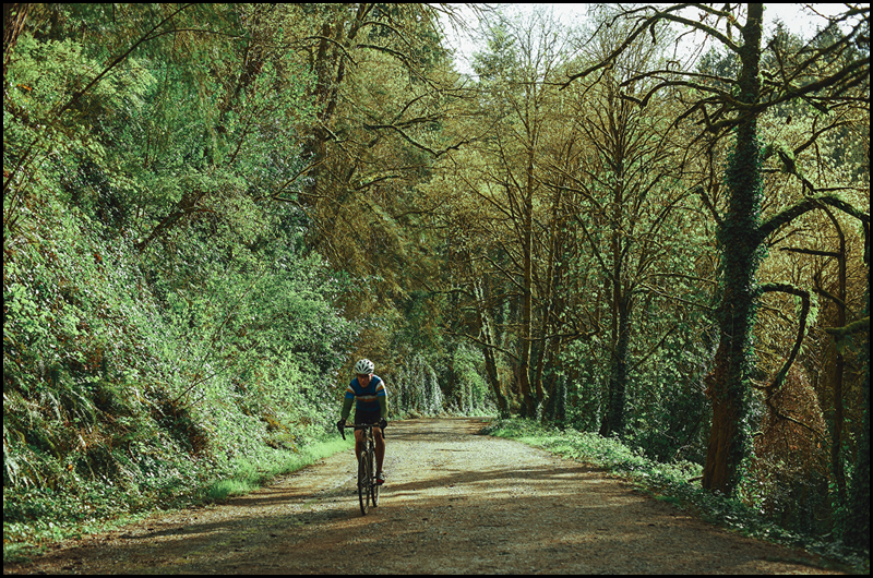 Forest Park