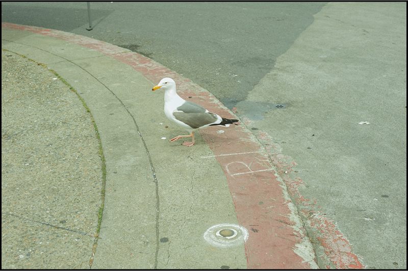 Embarcadero Street
