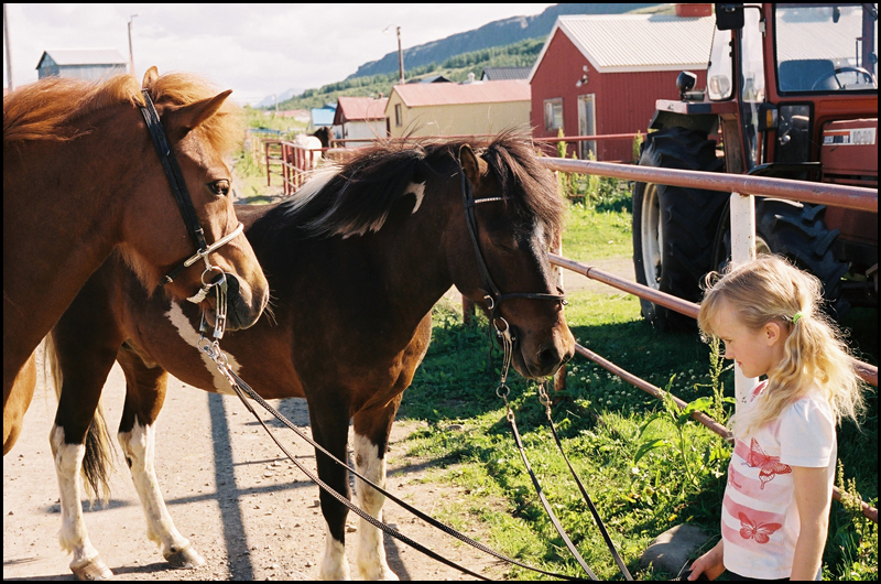 Ranch of Akureyri