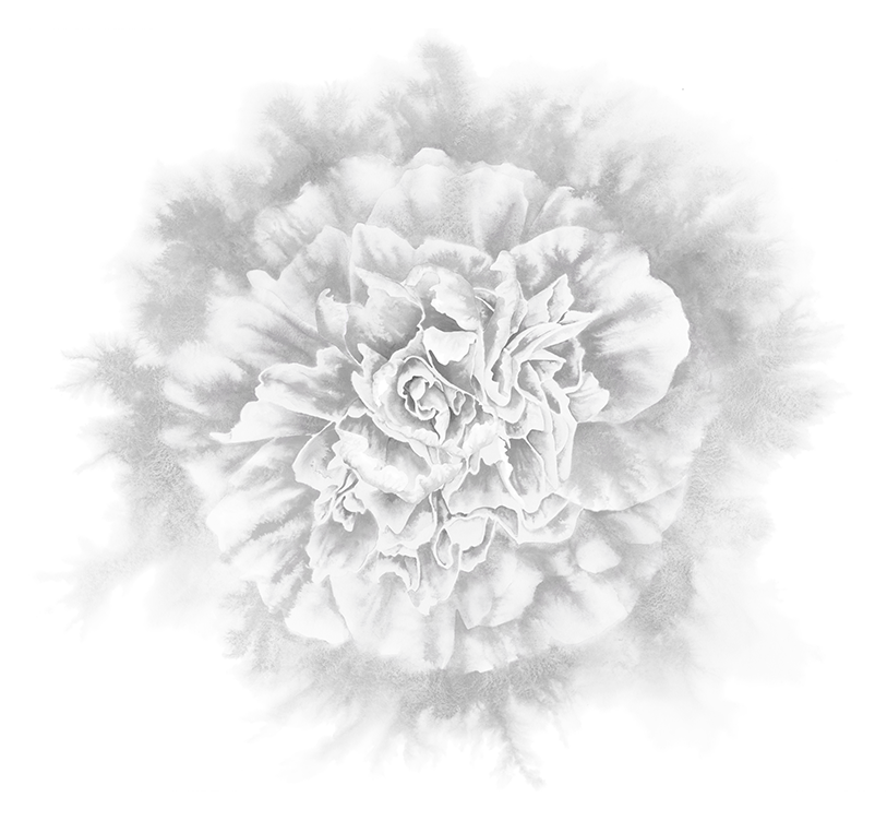 花のイメージイラスト
