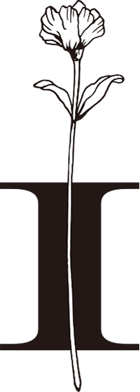 画像：特別ロゴのコンセプト「まっすぐと芯のある美しいロゴ」