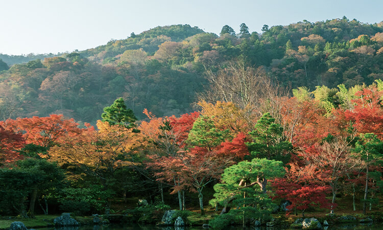 セイコー プレザージュ＞日本庭園にインスピレーションを得たデザイン 