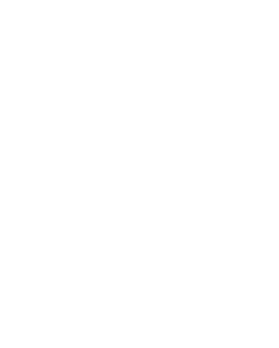 SEIKO DIVER’S WATCH 55th ANNIVERSARYのロゴ
