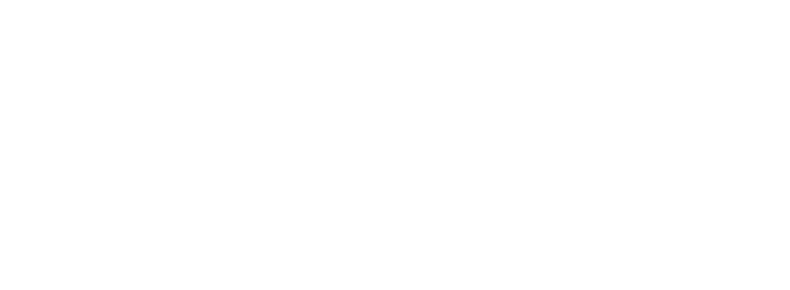 100th Anniversary of the Seiko Brand のロゴ