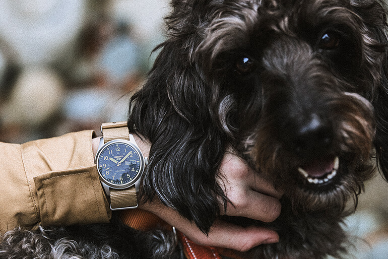 写真：Field series