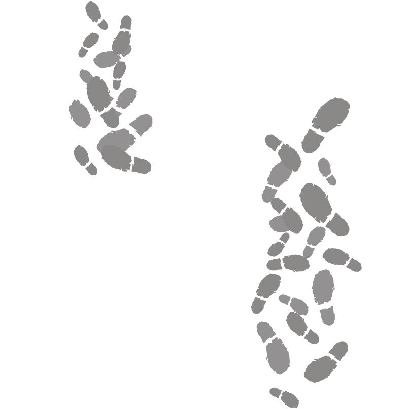 セイコー 5スポーツ One Piece Limited Edition Sbsa155 セイコーウオッチ