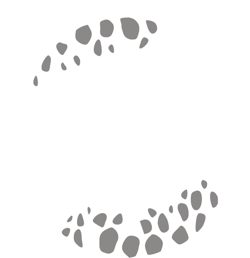 セイコー 5スポーツ One Piece Limited Edition Sbsa149 セイコーウオッチ