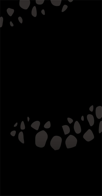 セイコー 5スポーツ One Piece Limited Edition セイコーウオッチ