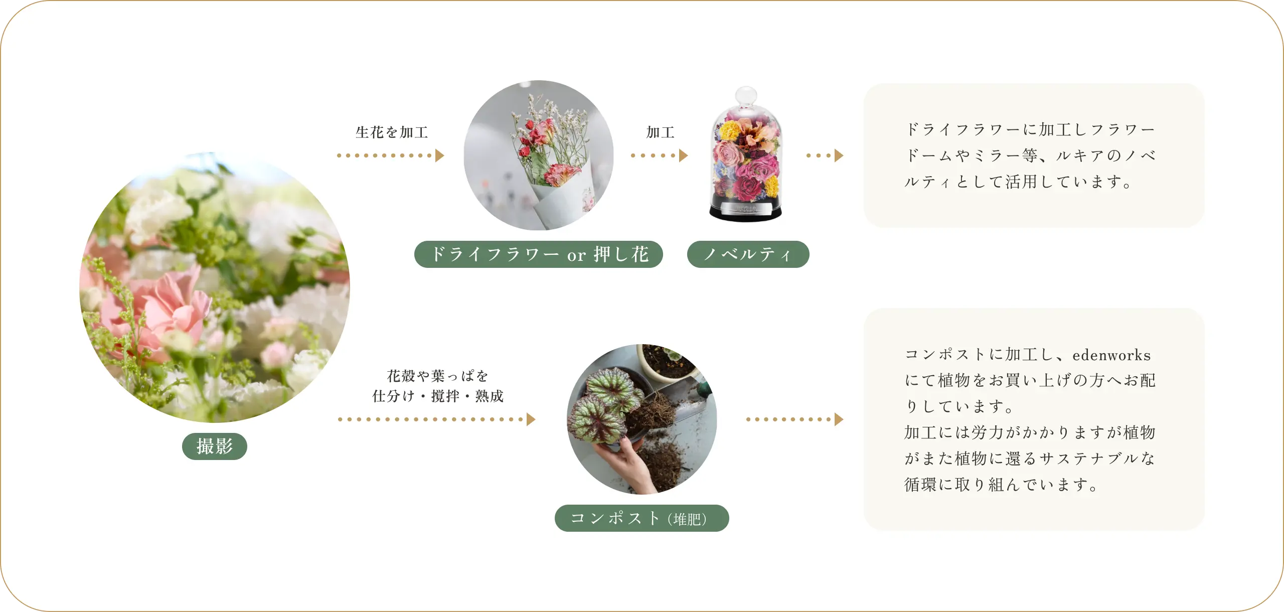 図表:花を棄てずに未来に繋げる取り組み