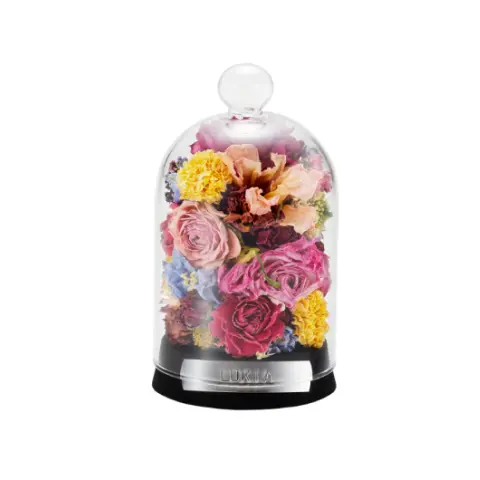 画像：フラワードーム