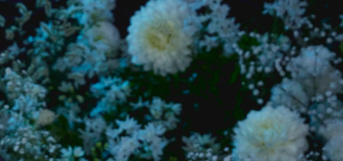 Image Visual