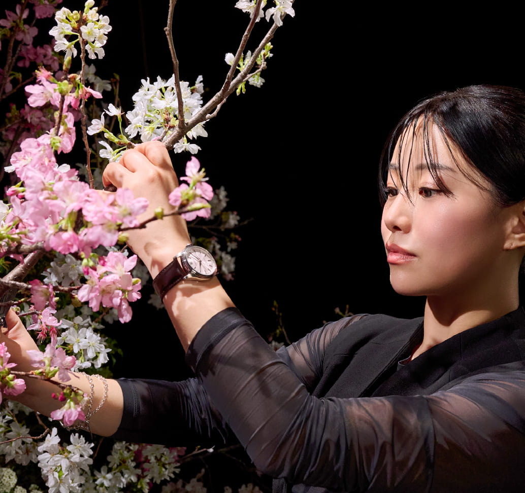 写真：HCC003