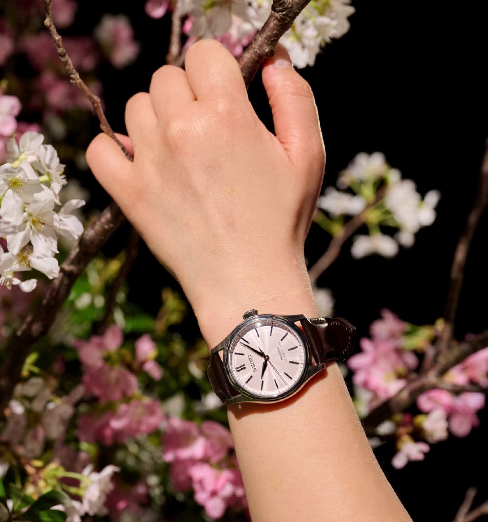 写真：HCC003