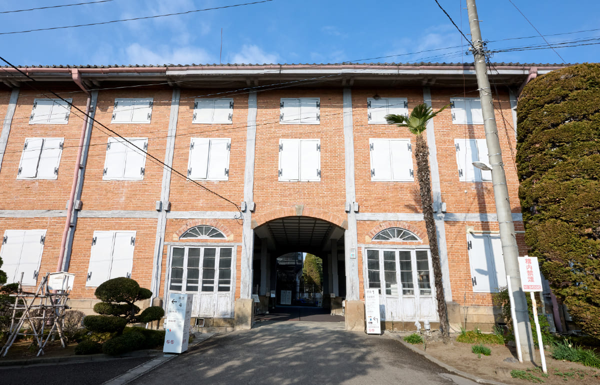 写真：
