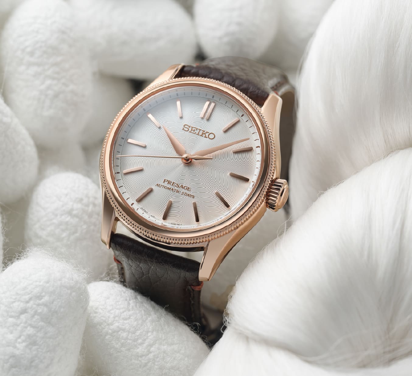写真：HCC010