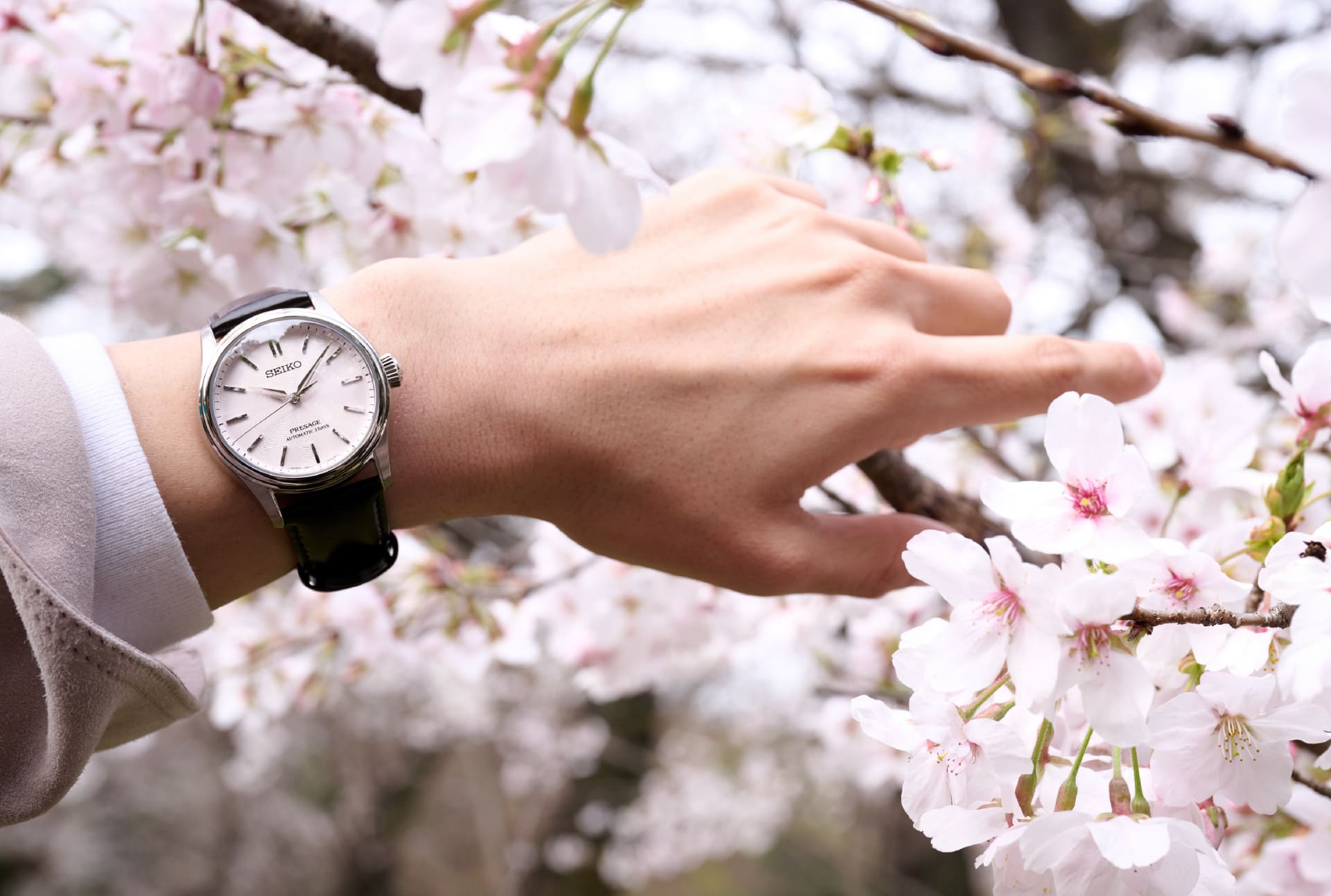 写真：HCC003