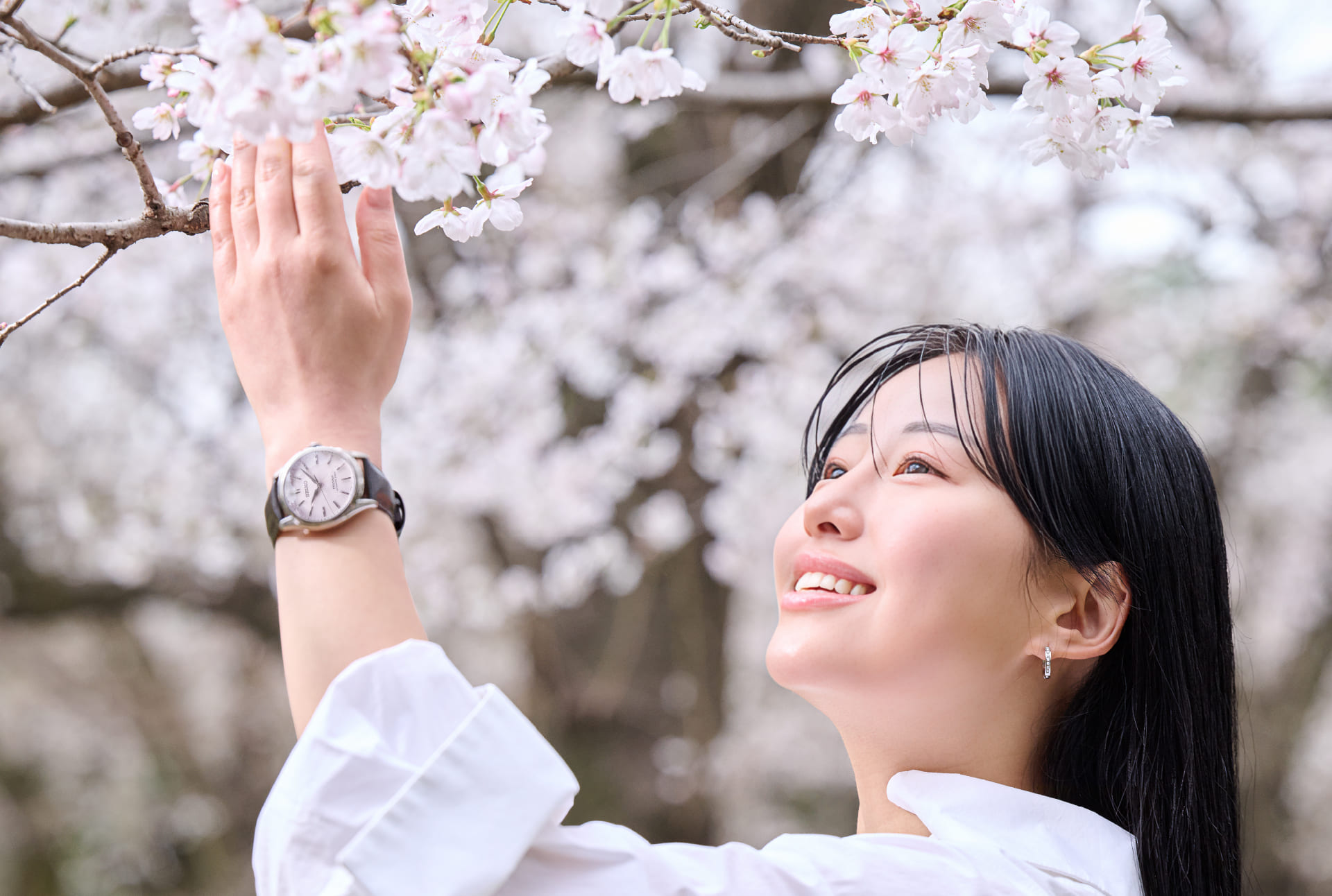 写真：HCC003