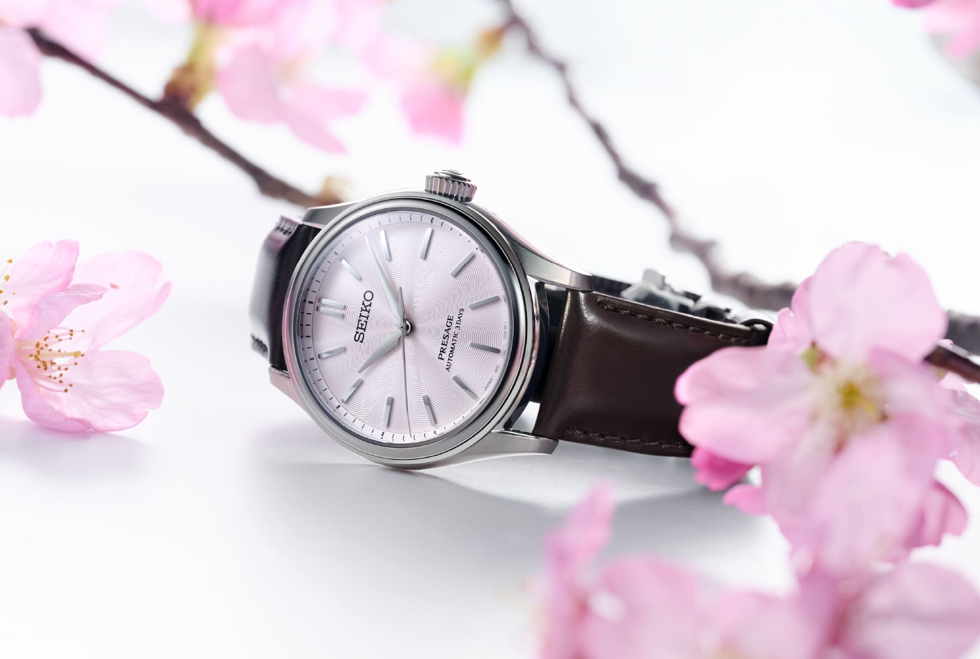 写真：HCC003