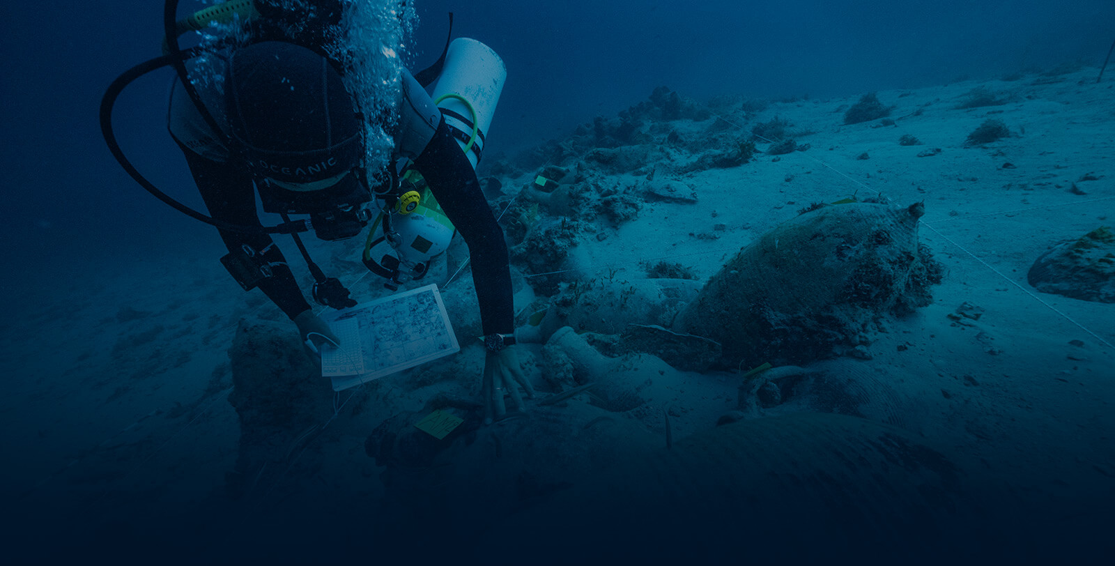 写真：Save the Ocean 水中考古学研究支援