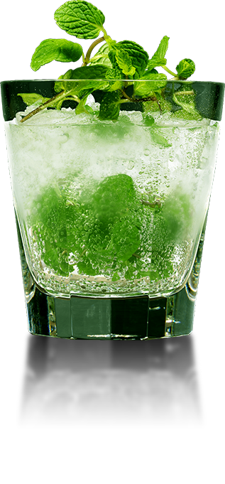 The image of a cocktail, the Mojito