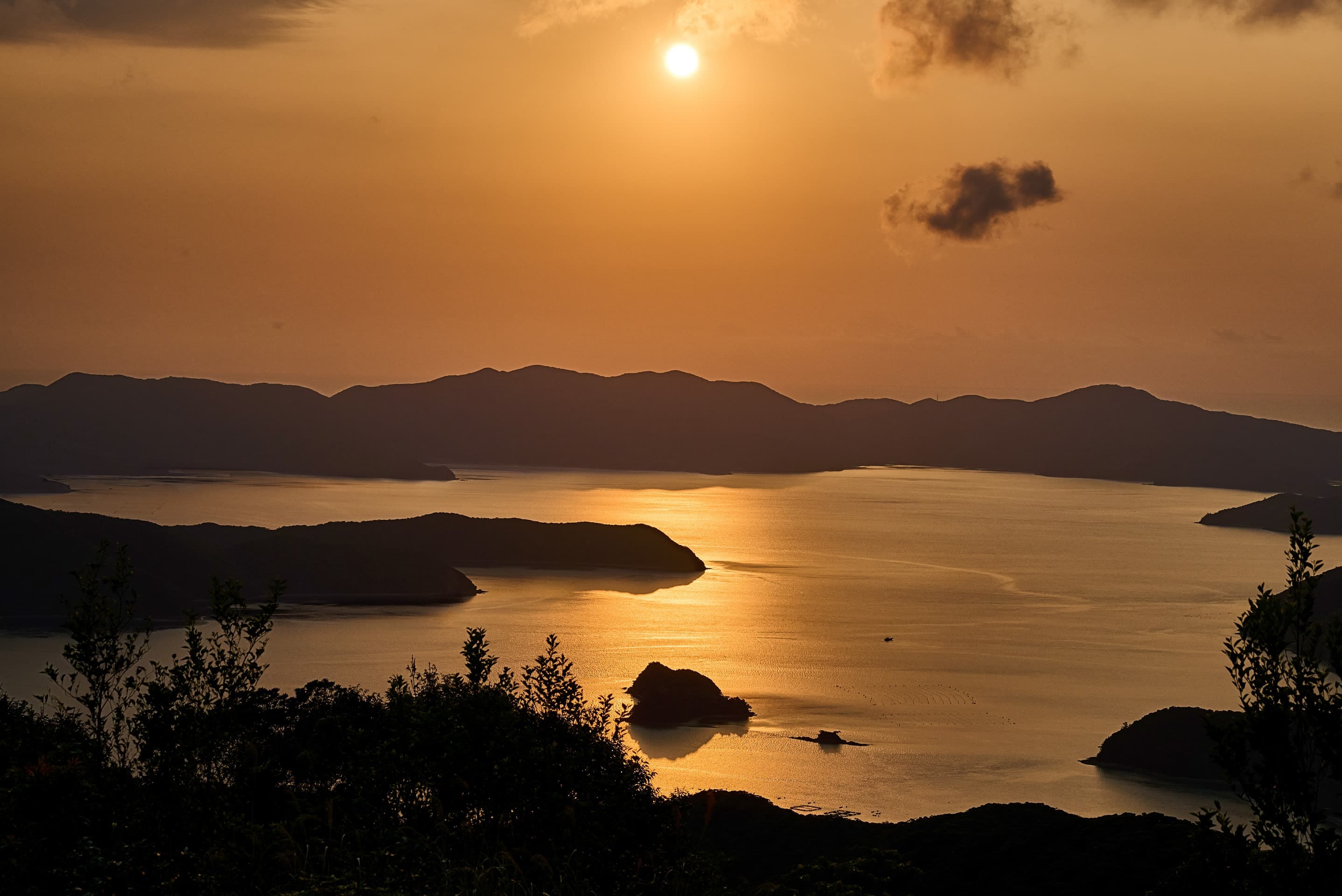 Photo of Amami Oshima’s registration as a UNESCO World Natural Heritage site