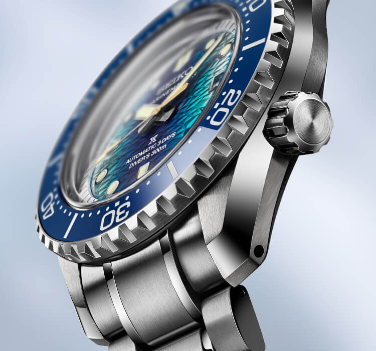 Photo of HBF002 SEIKO PROSPEX Case