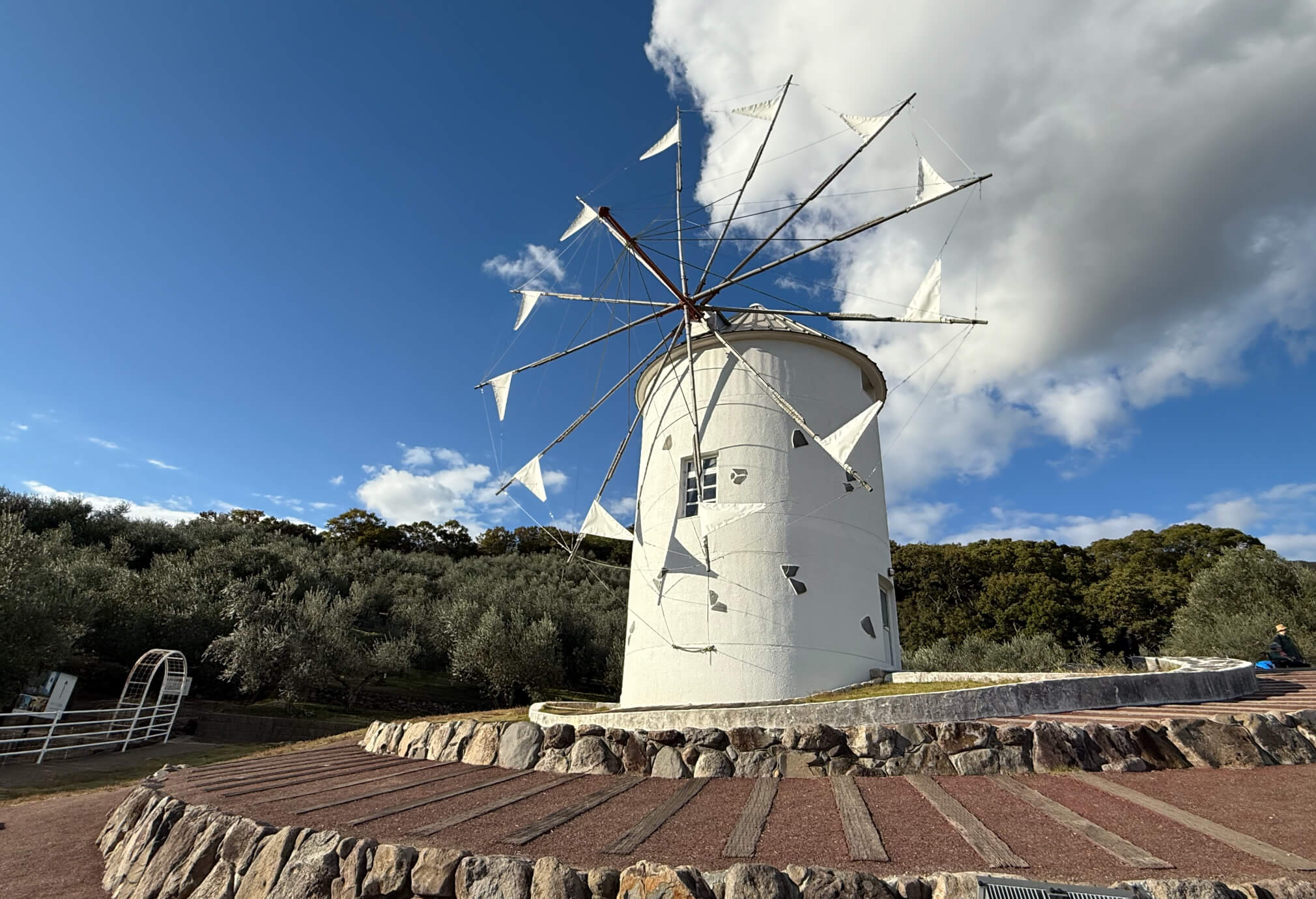 Foto de Shodoshima e oliveiras em crescimento