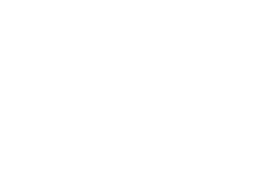 Seiko 5 Sports EVISEN SKATEBOARDS Limited Edition