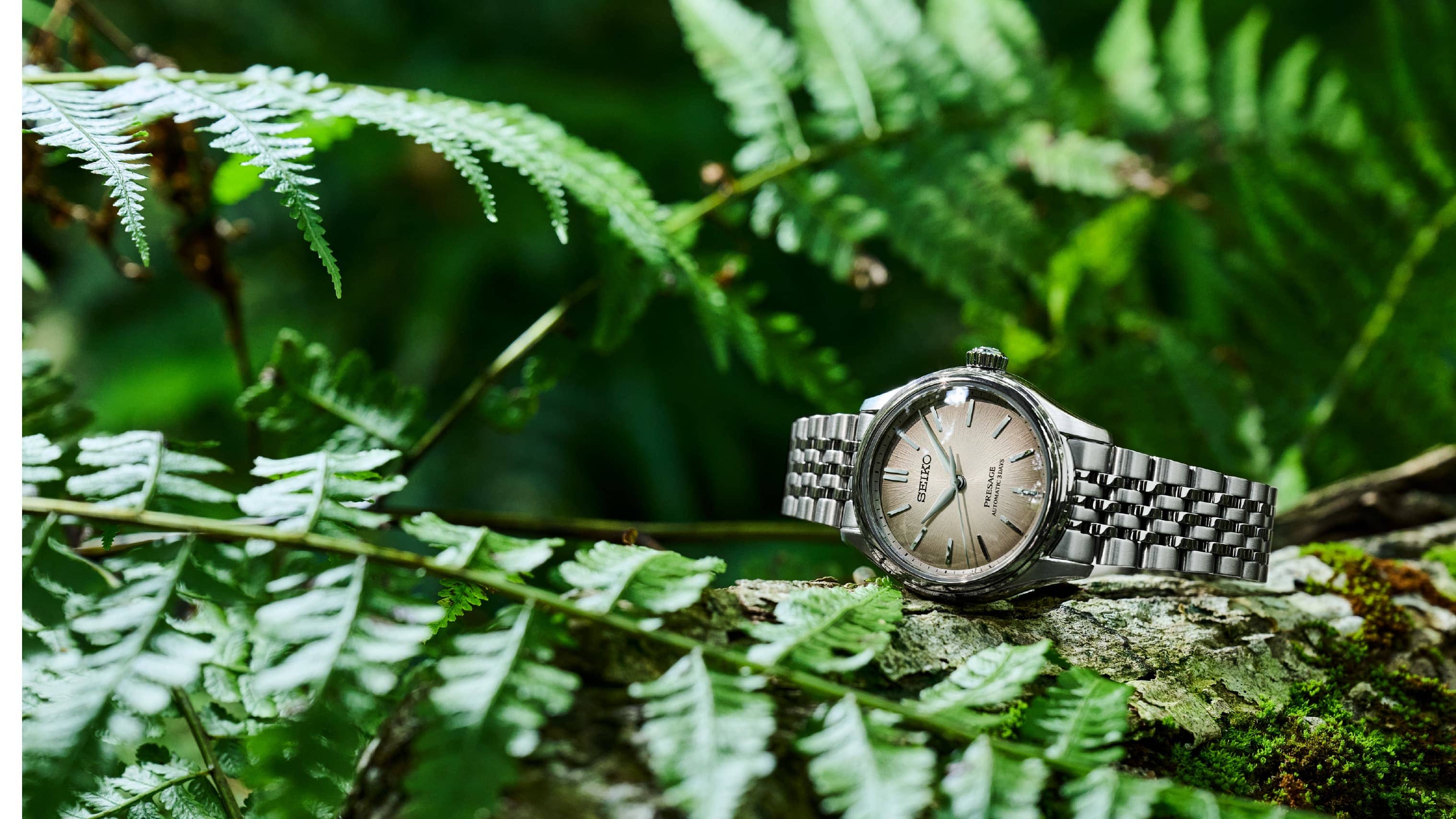 Movie:Carrying Forward the Beauty of Japan