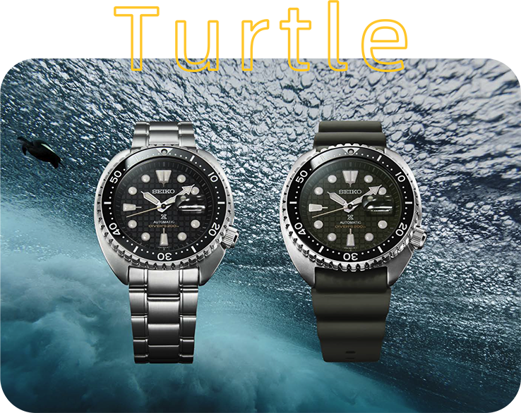 Turtle