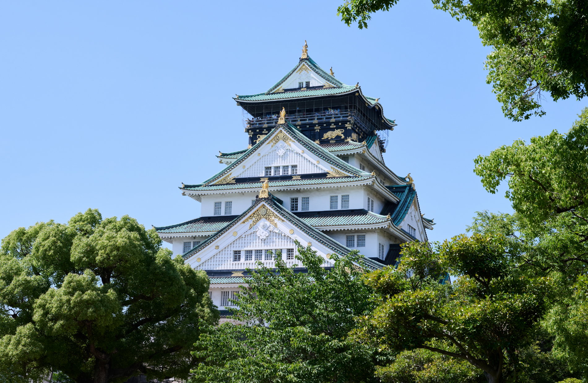 Photo of Osaka Castle