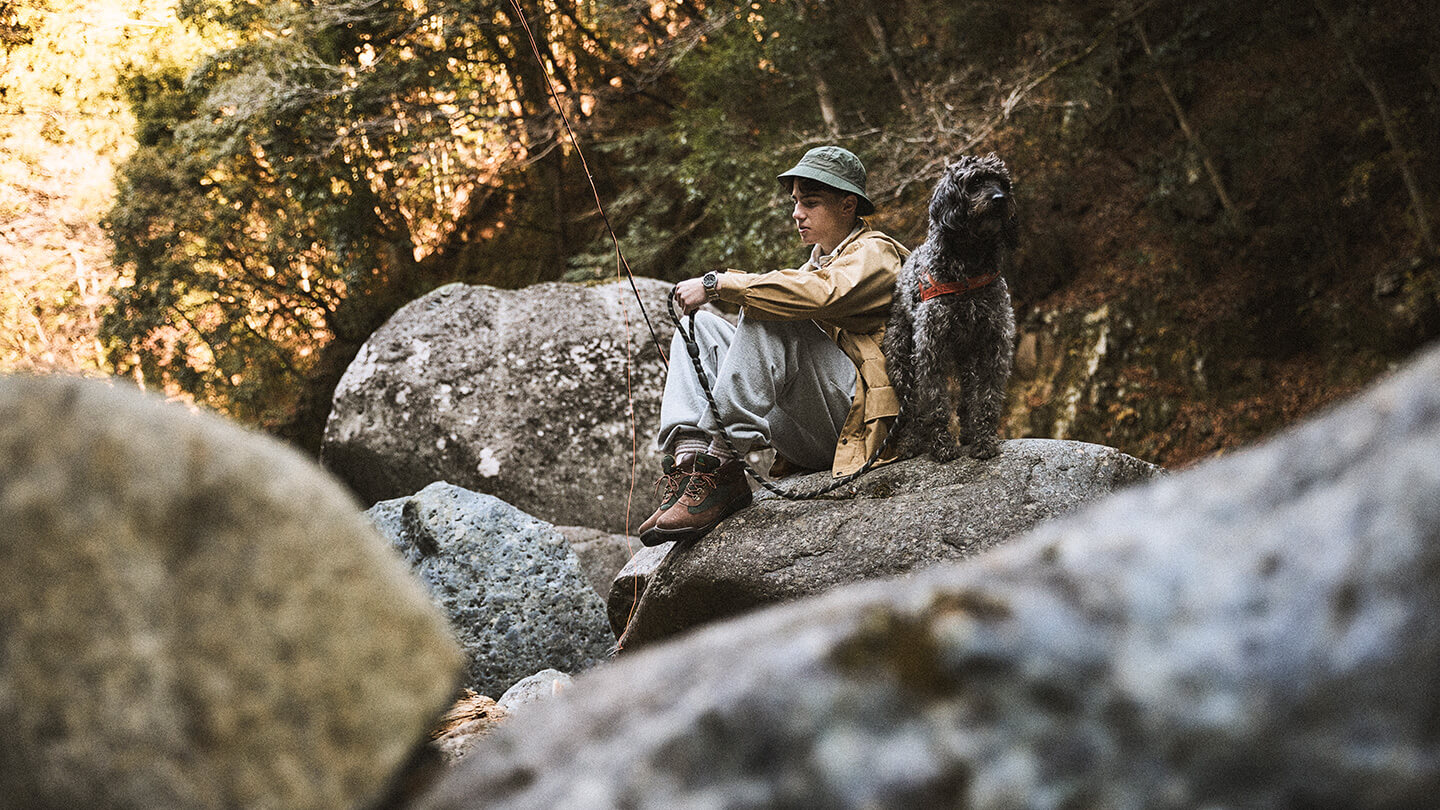 Photo of Field series