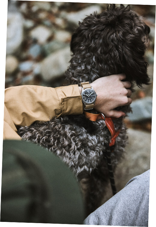 Photo of Field series