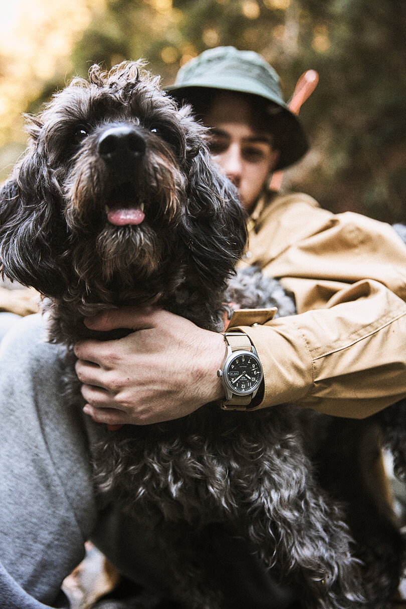 Photo of Field series